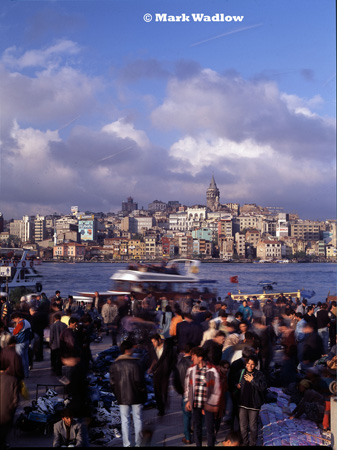 turkey