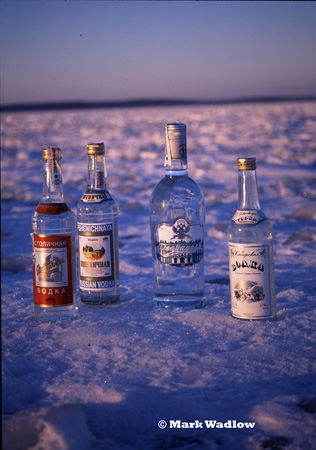 vodka