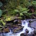 NewZealand